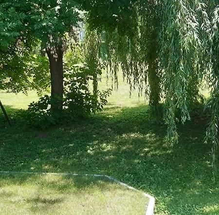 טמאשי Fuzfa Apartmanhaz מראה חיצוני תמונה